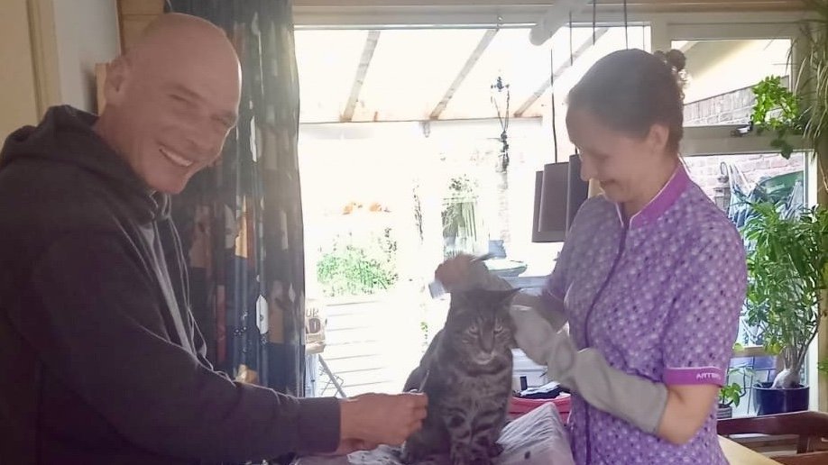 Narcose is zelden nodig voor het trimmen van je kat
